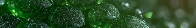 leaf closeup